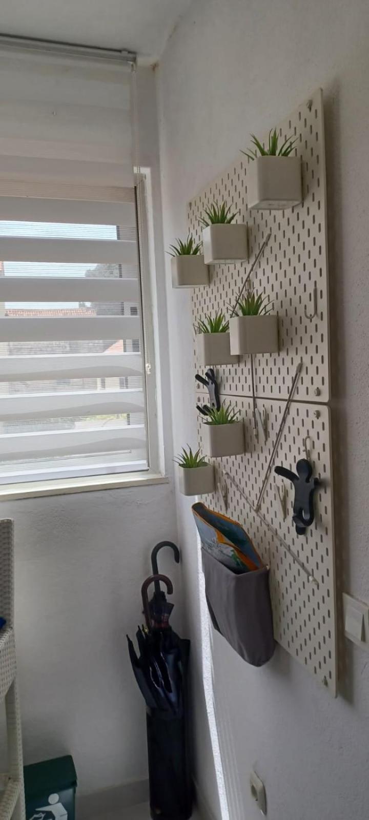 Apartments Sonja Сплит Экстерьер фото